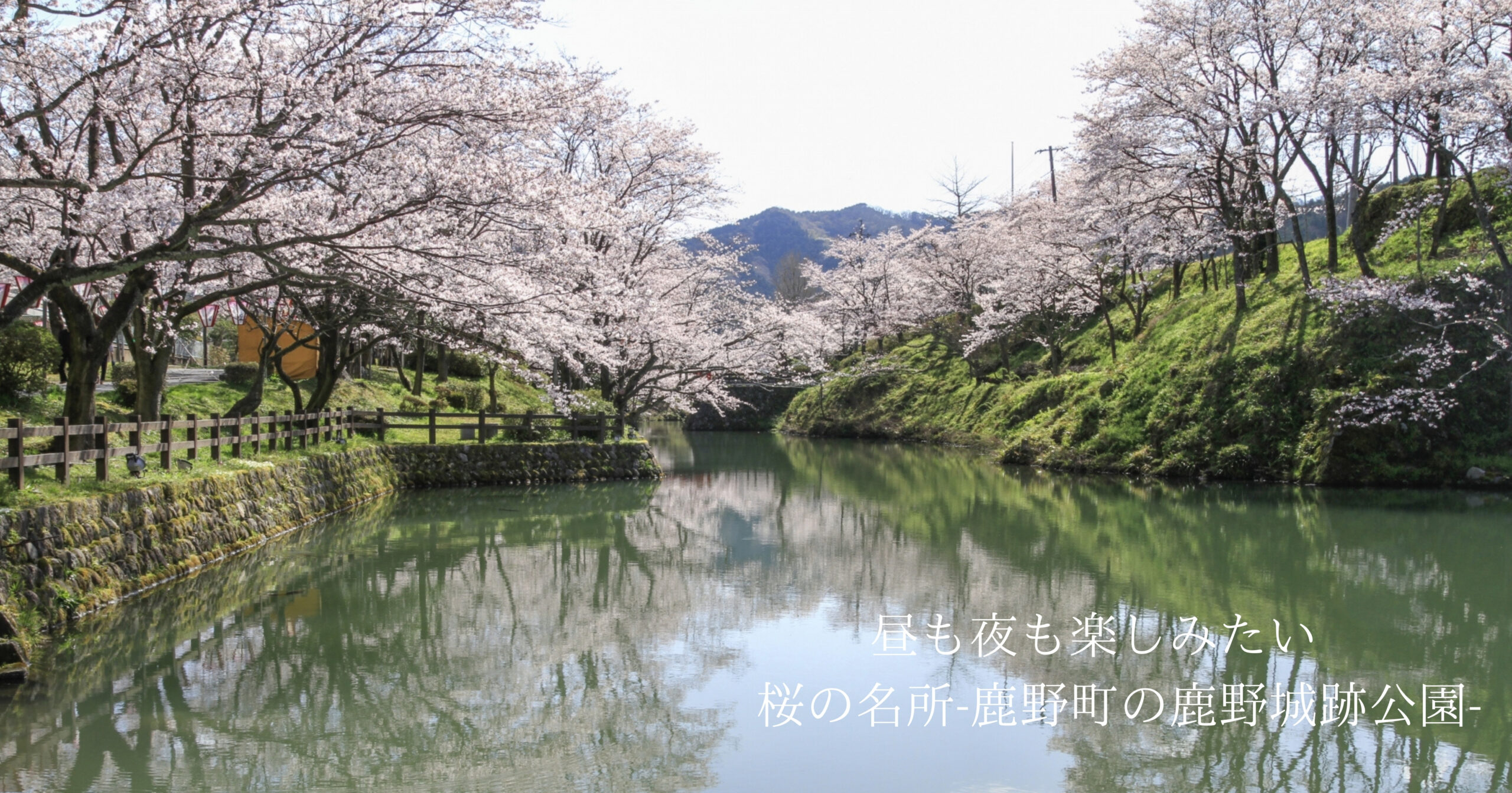 昼も夜も楽しみたい 桜の名所ー鹿野町の鹿野城跡公園 鳥取 米子 松江 出雲の新築住宅トコスホーム アート建工