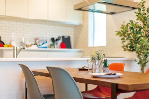 standard_modelhouse15